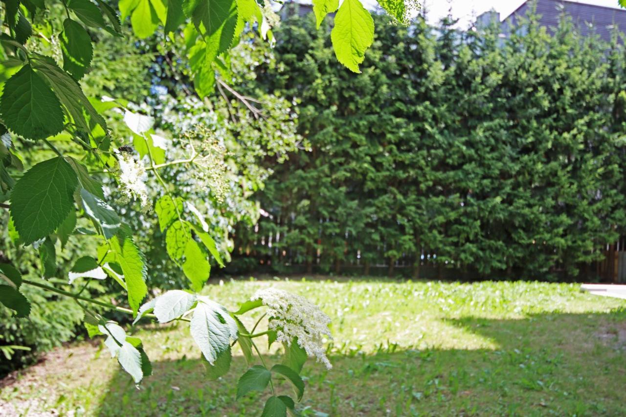 Aurturist S Candido Roulette San Candido Esterno foto
